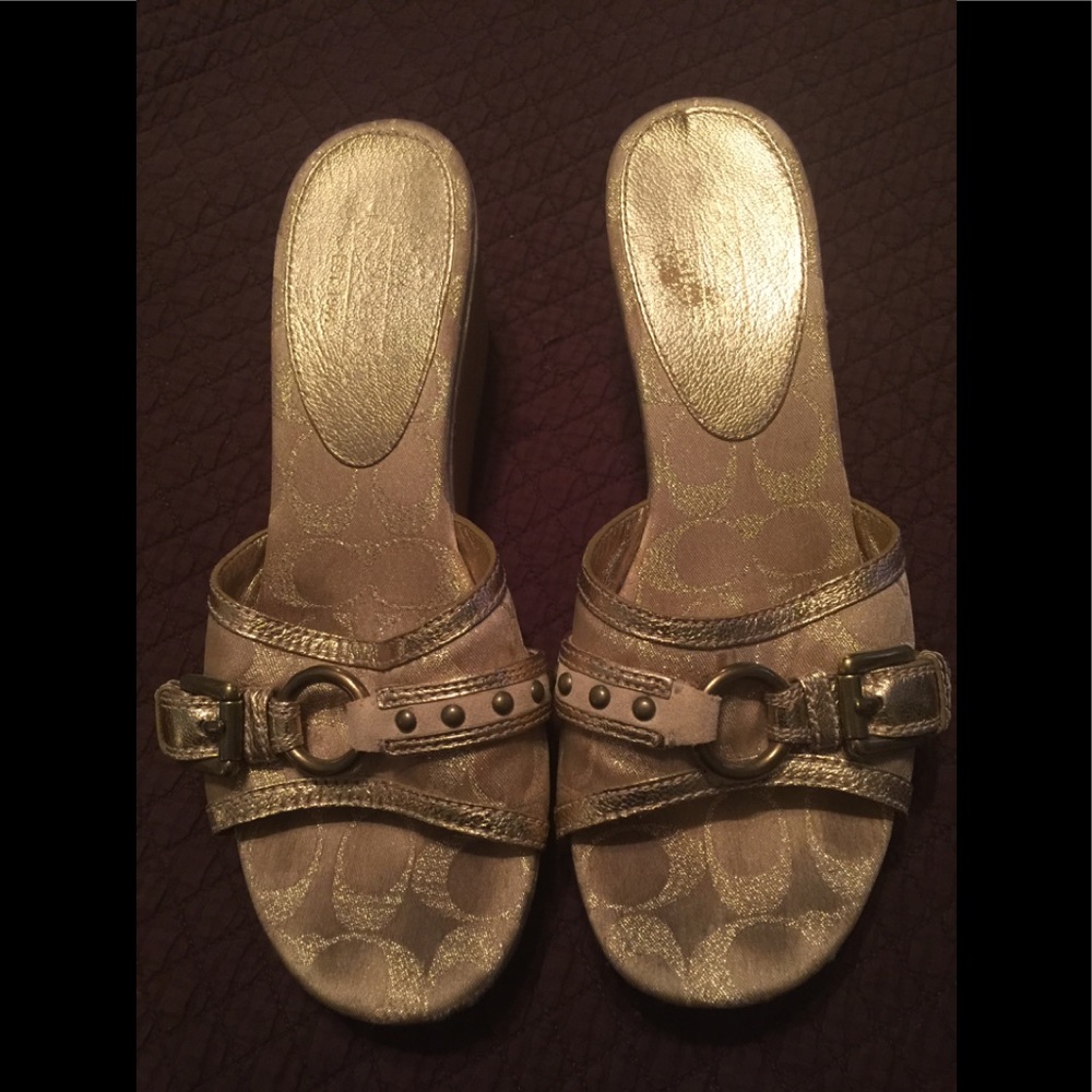 EUC BEAUTIFUL COACH MULES